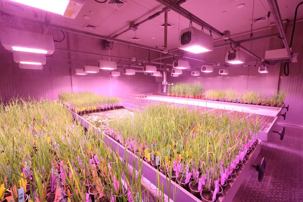 重庆美甲美睫行业技术标准与施工规范详解