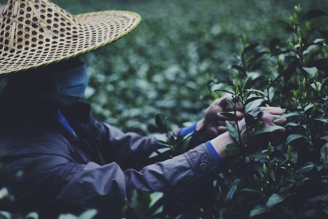 美甲美睫服务项目对比：手部精致护理与面部美容护肤的搭配选择